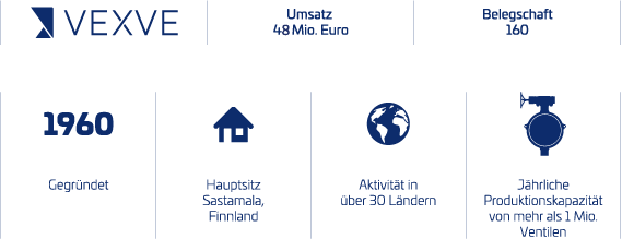 Vexve company infograph